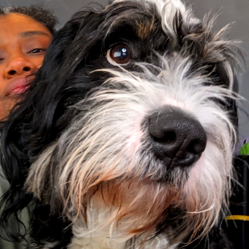 Meet your Posher, Cyndy